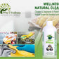 Wellness Natural All Purpose Surface Liquid Cleaner | Plant Based, Natural,  Sensitive Surface Cleaner | Suitable for all Surfaces - (Pack of 2- 500ML each )